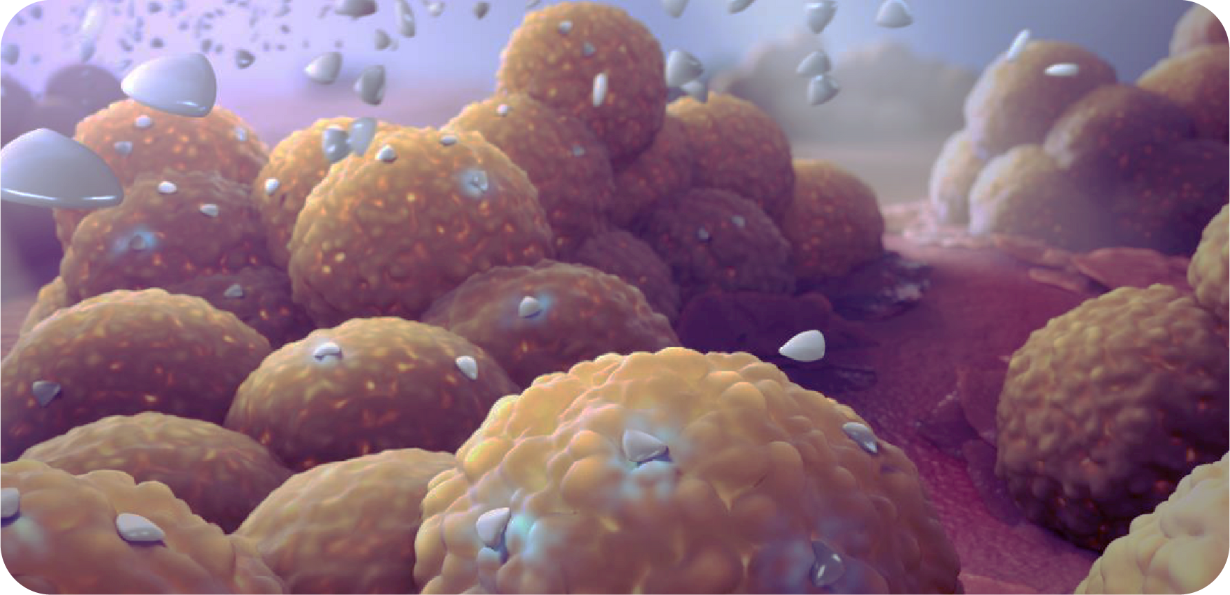 Proin vel urna quis turpis convallis convallis