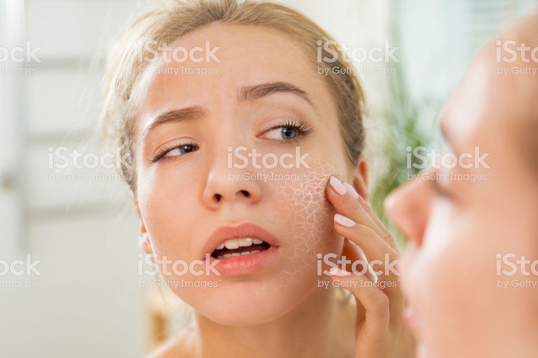 Suspendisse malesuada in nunc eu feugiat