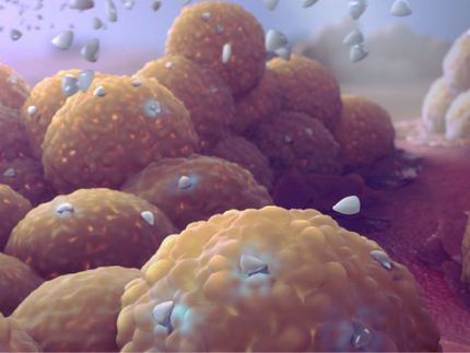 Proin vel urna quis turpis convallis convallis