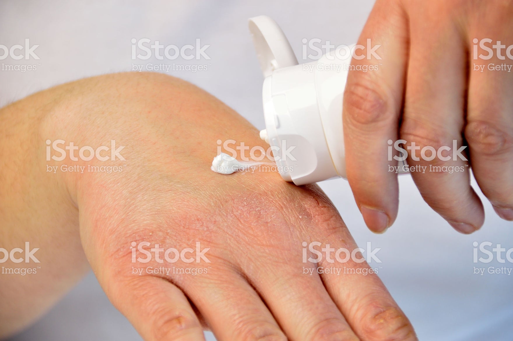 Duis commodo mi ac venenatis tincidunt.